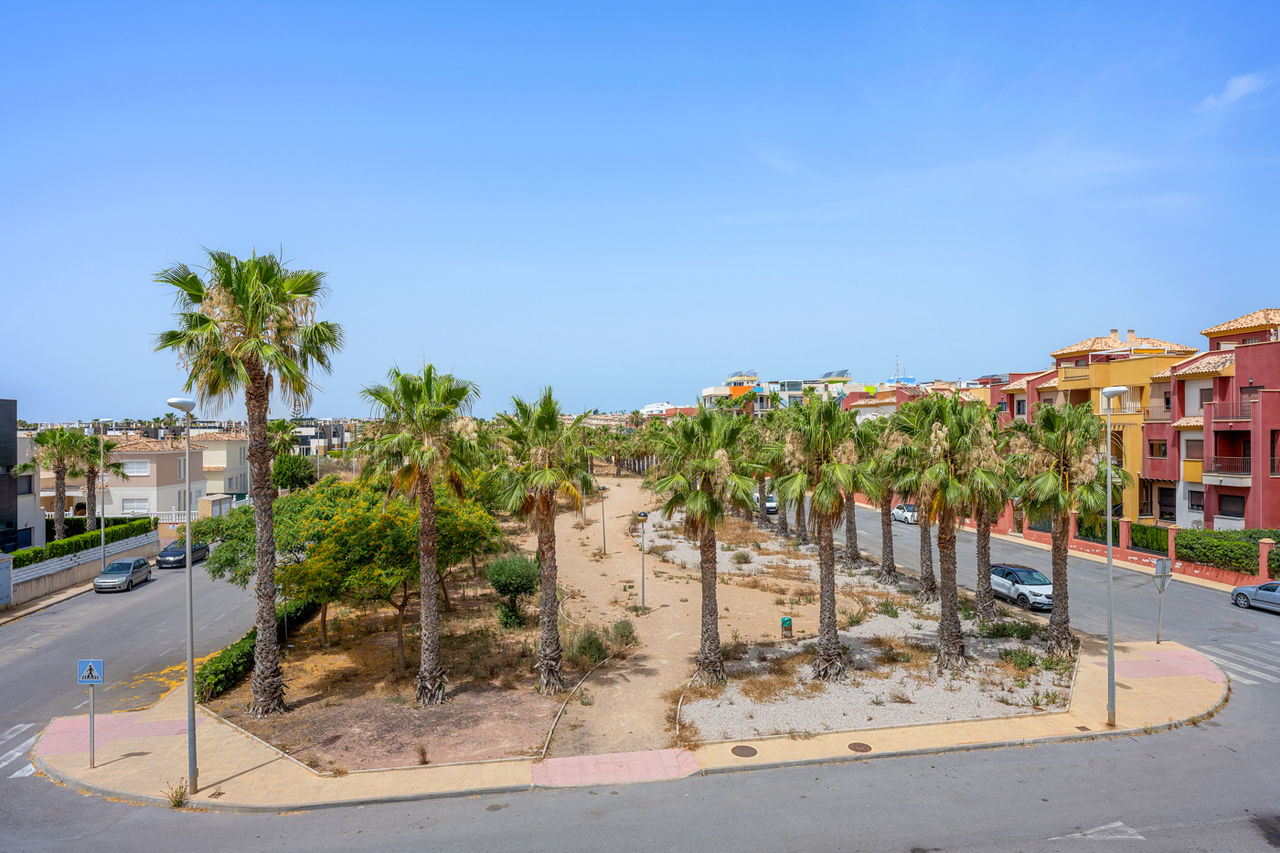 Apartment in Cabo Roig 41