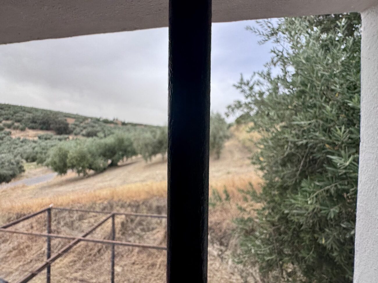 Finca Penthouse in Algarinejo – YC809761
