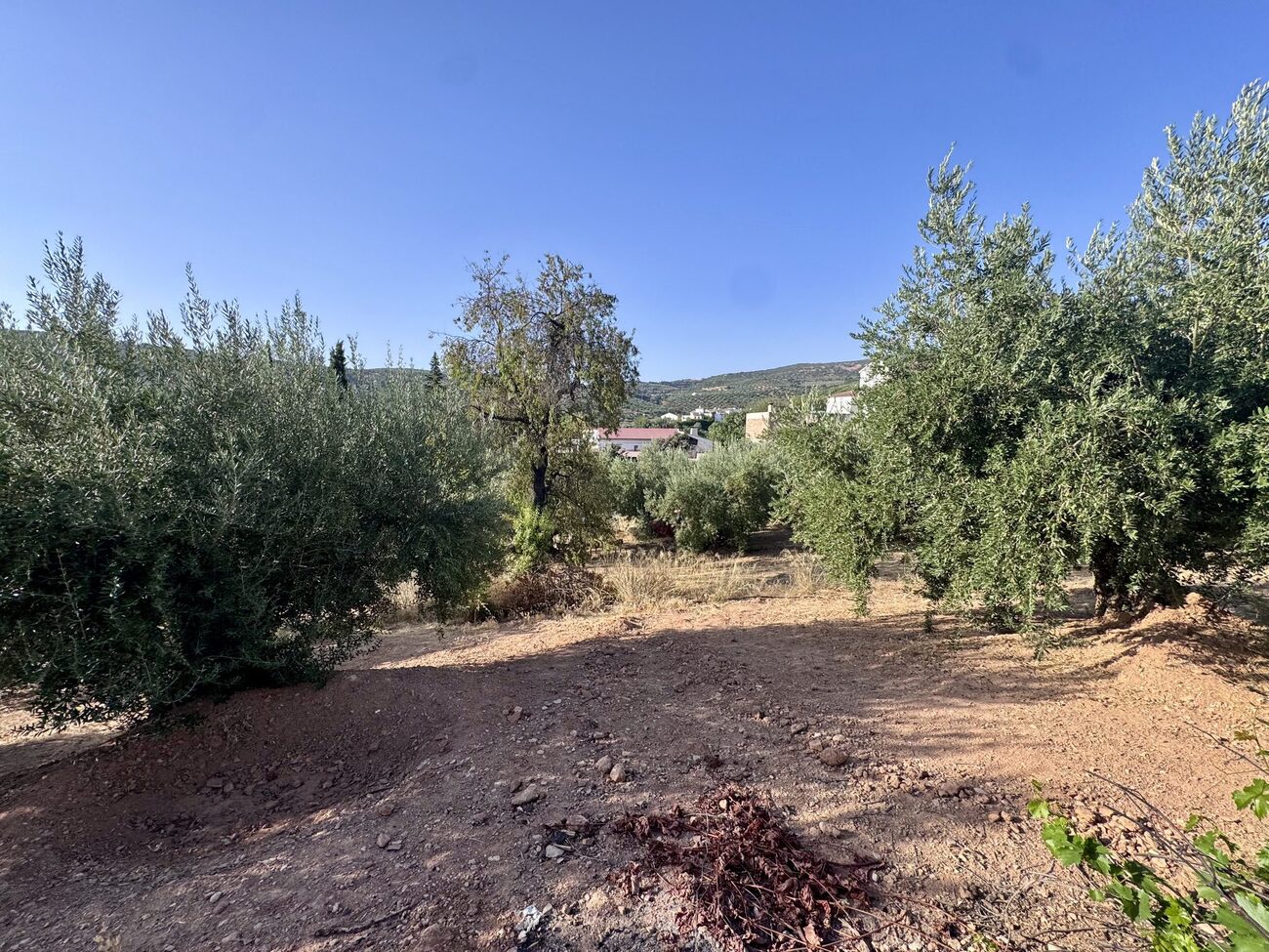 Finca in Algarinejo – YC809707