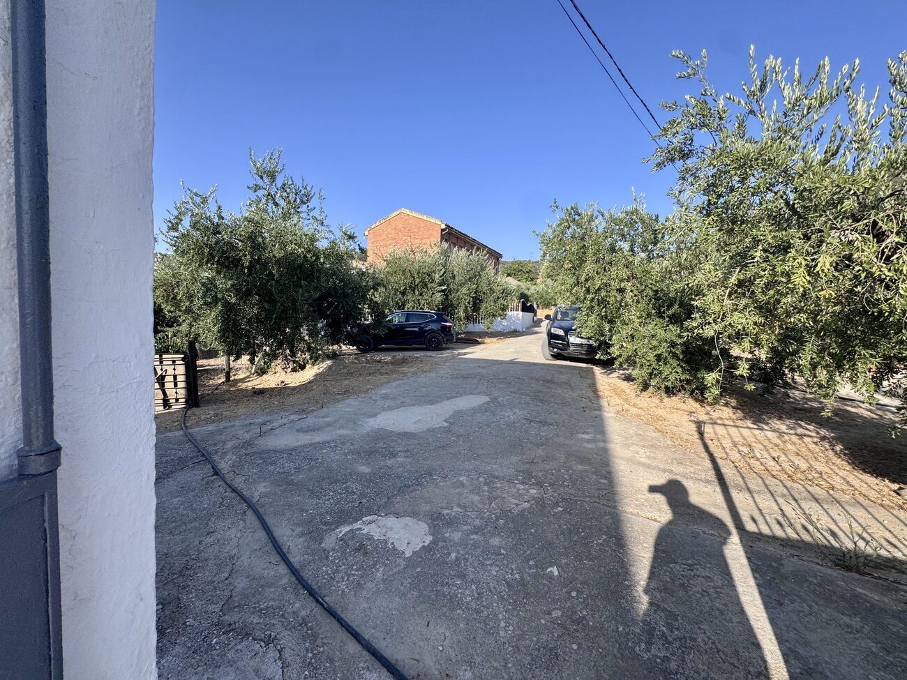 Finca in Algarinejo – YC809707