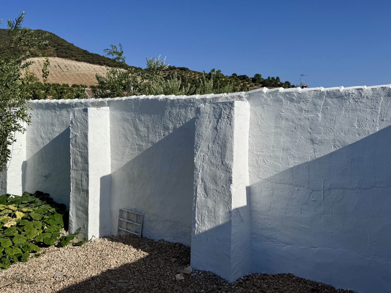 Finca in Algarinejo – YC809707