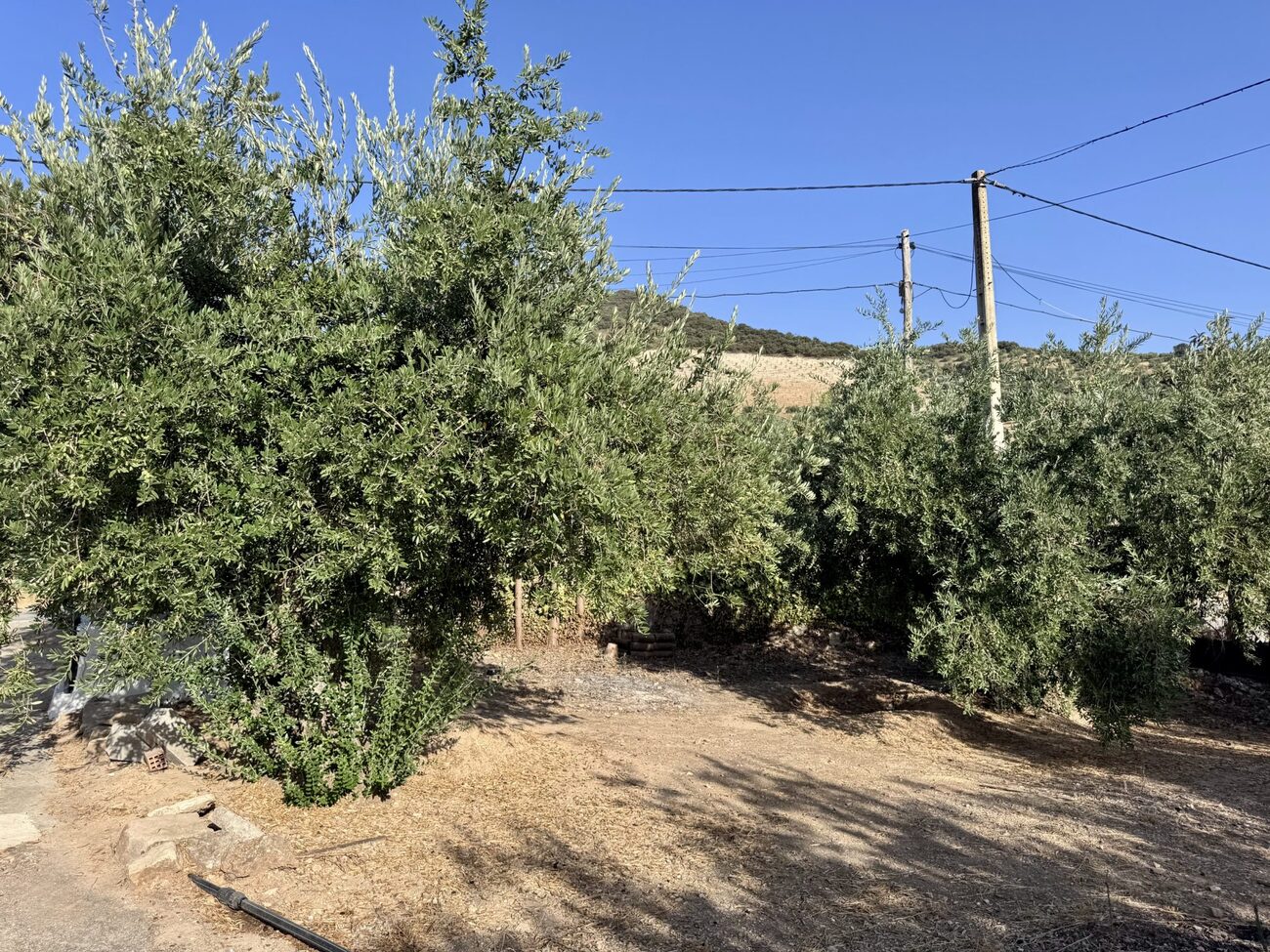Finca in Algarinejo – YC809707