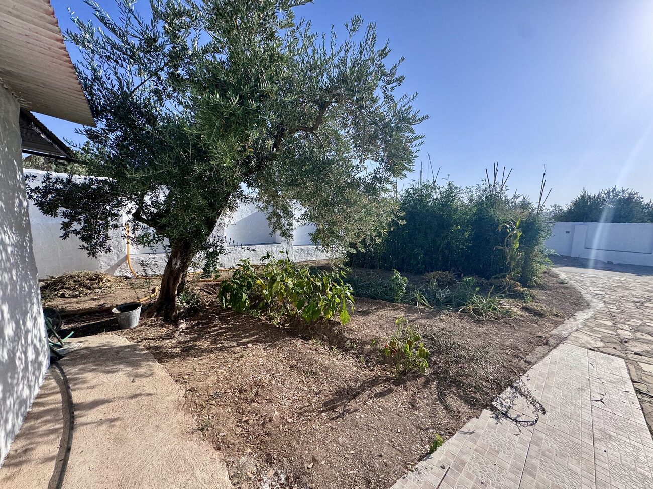 Finca in Algarinejo – YC809707