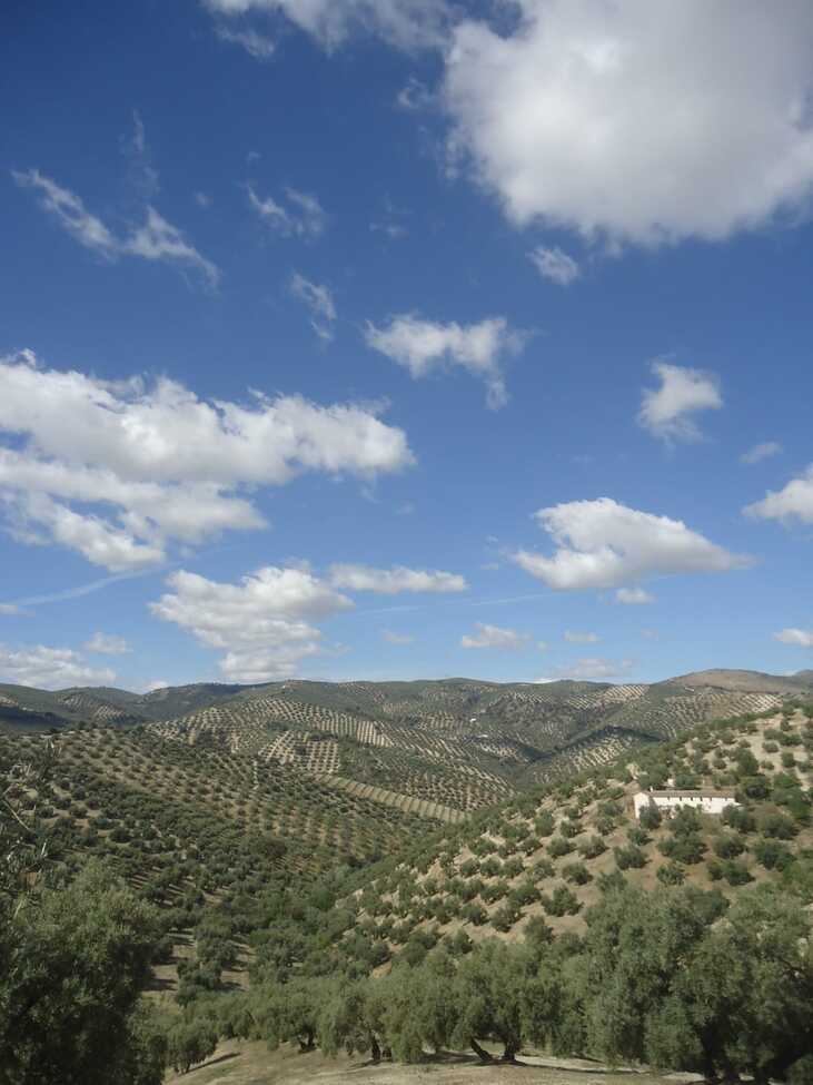 Finca in Iznájar – YC809608