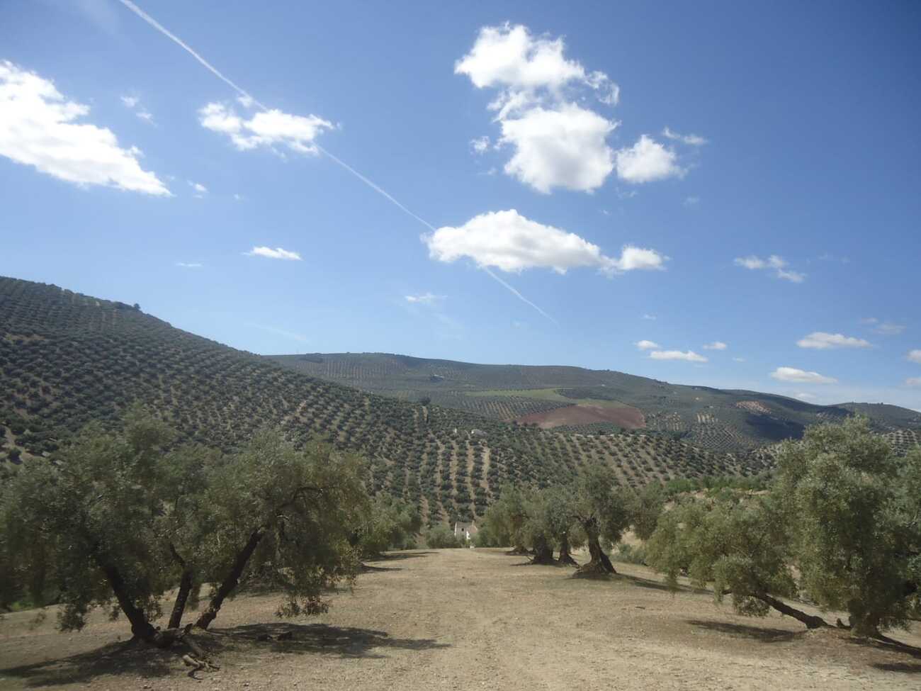 Finca in Iznájar – YC809608