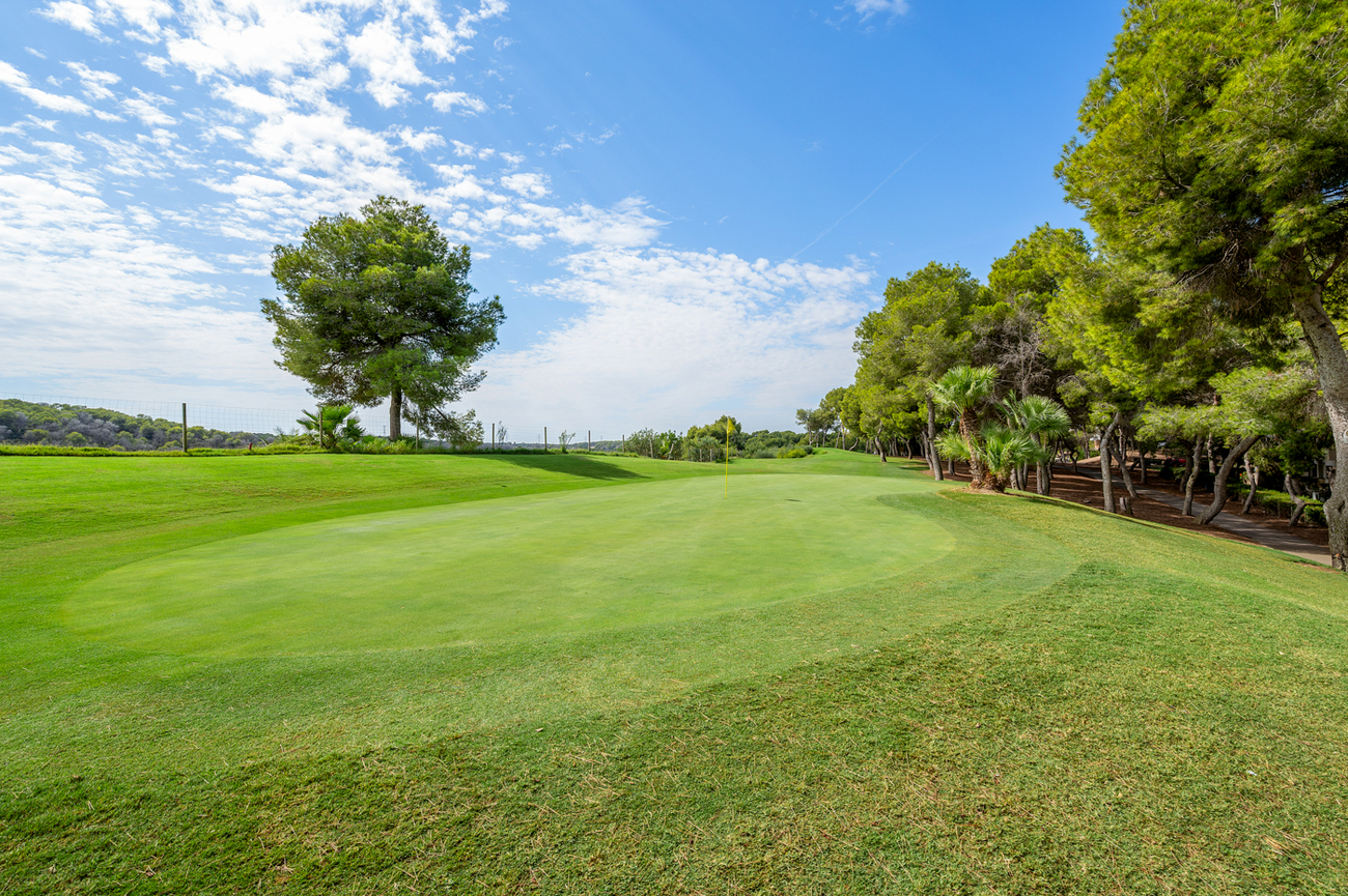 Duplex Penthouse in Dehesa de Campoamor – YC787887