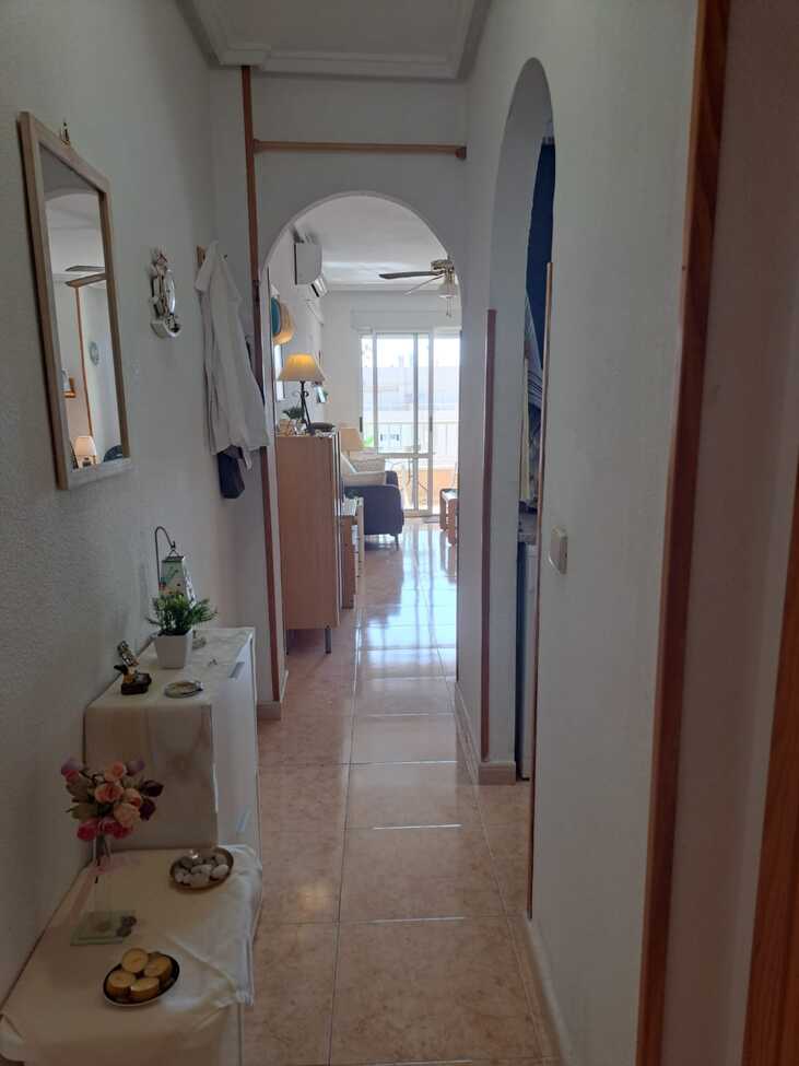 Apartment in Torrevieja 12